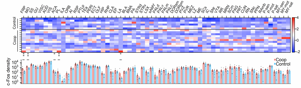 北京大学国家生物医学成像科学中心新置VISoR系统完成安装调试并投入使用 北京大学国家生物医学成像科学中心新置VISoR系统完成安装调试并投入使用