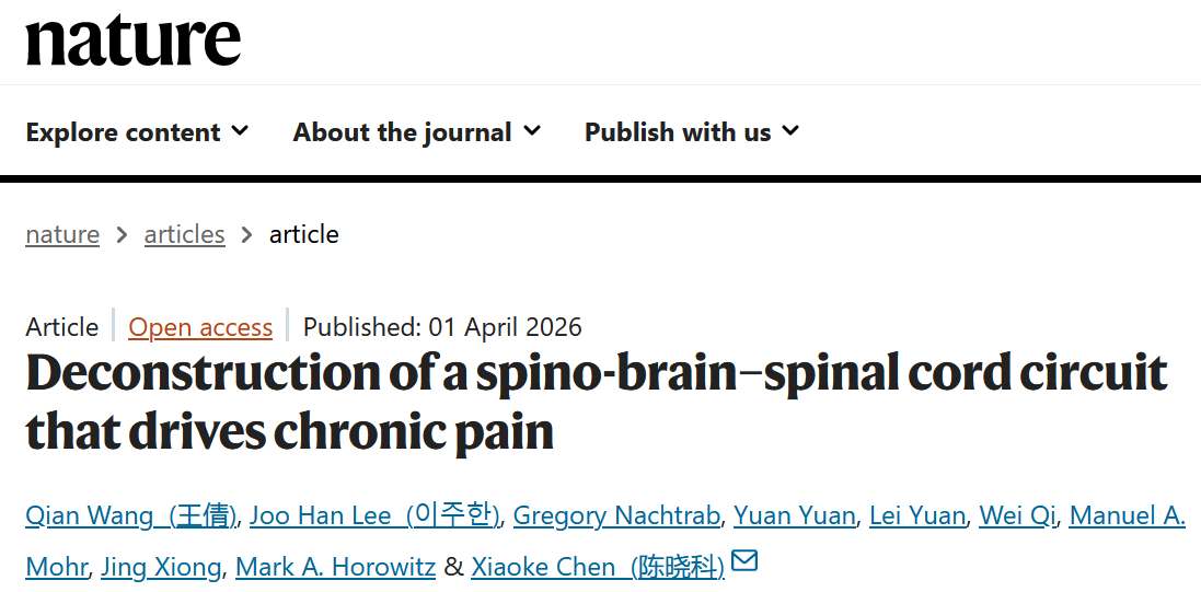 重磅科研速递 | 解密慢性疼痛神经环路，深圳百会新知Lychnis软件助力顶刊重大突破！